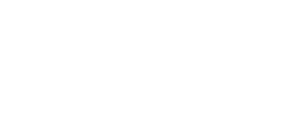 the silk road foundation